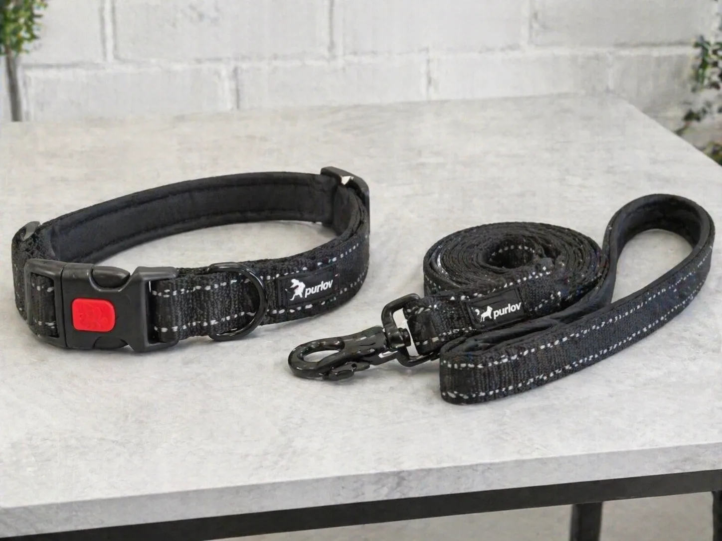 Ошейник и поводок для средней собаки