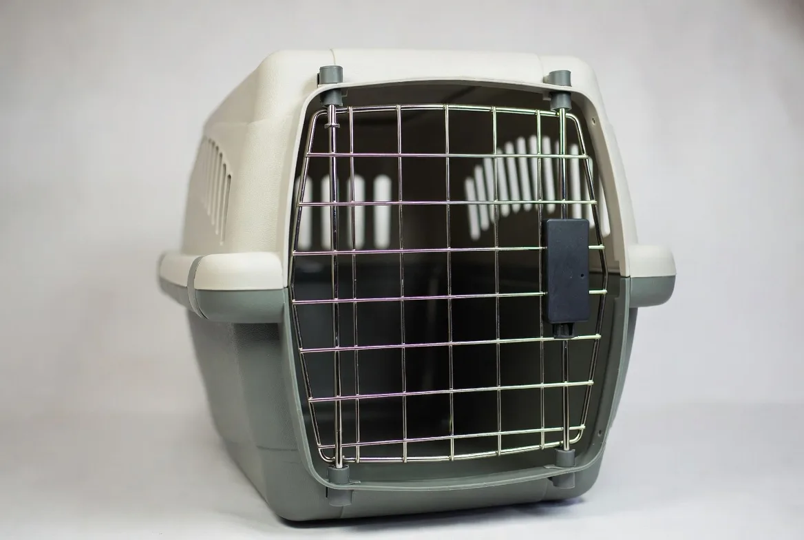 Переноска для кошки небольшая